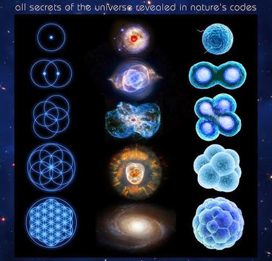 geometria sagrada do universo